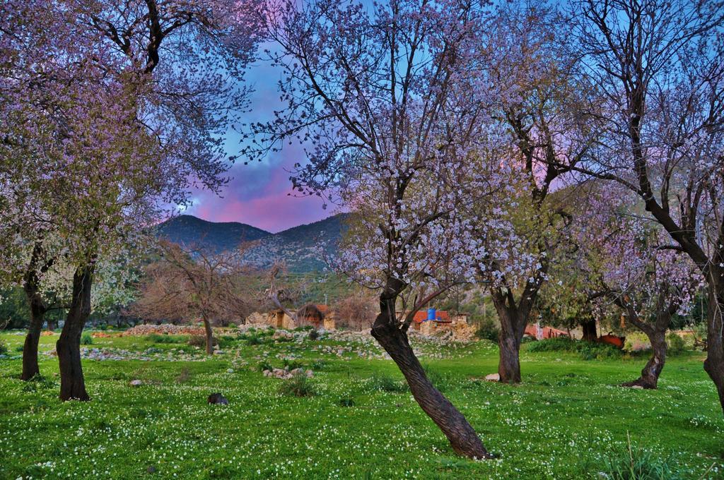 Beymelek Tas Evler Hostal Demre Exterior foto