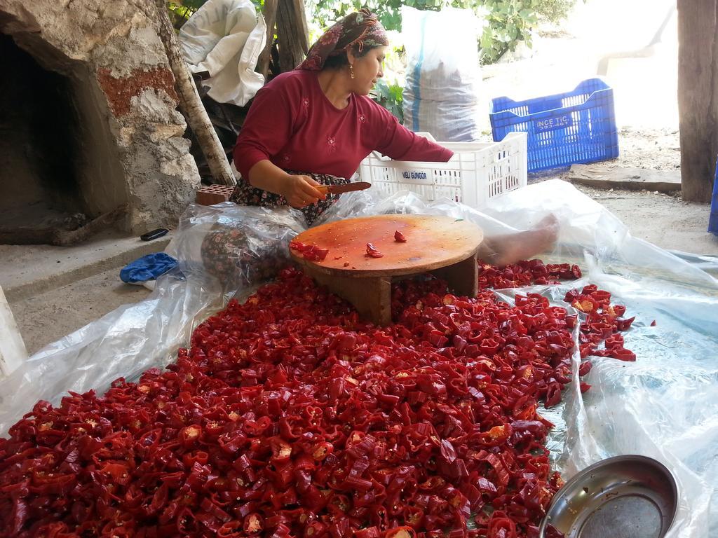 Beymelek Tas Evler Hostal Demre Exterior foto